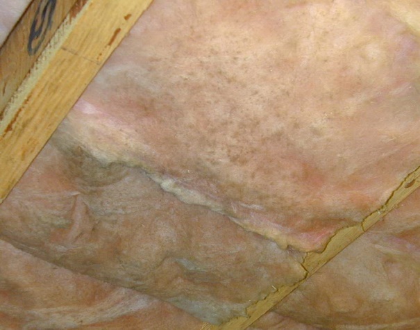 C:\Users\Owner\Desktop\Newsletters\HI Bulletin\Insulation with visible mold growth.JPG